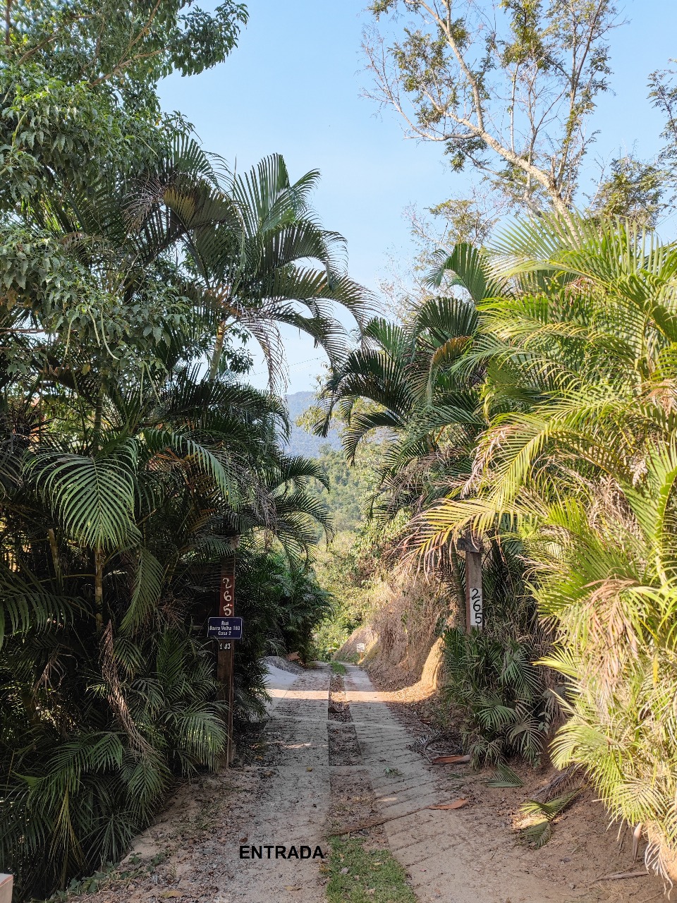 Imagem 3 - Imóvel Piúva