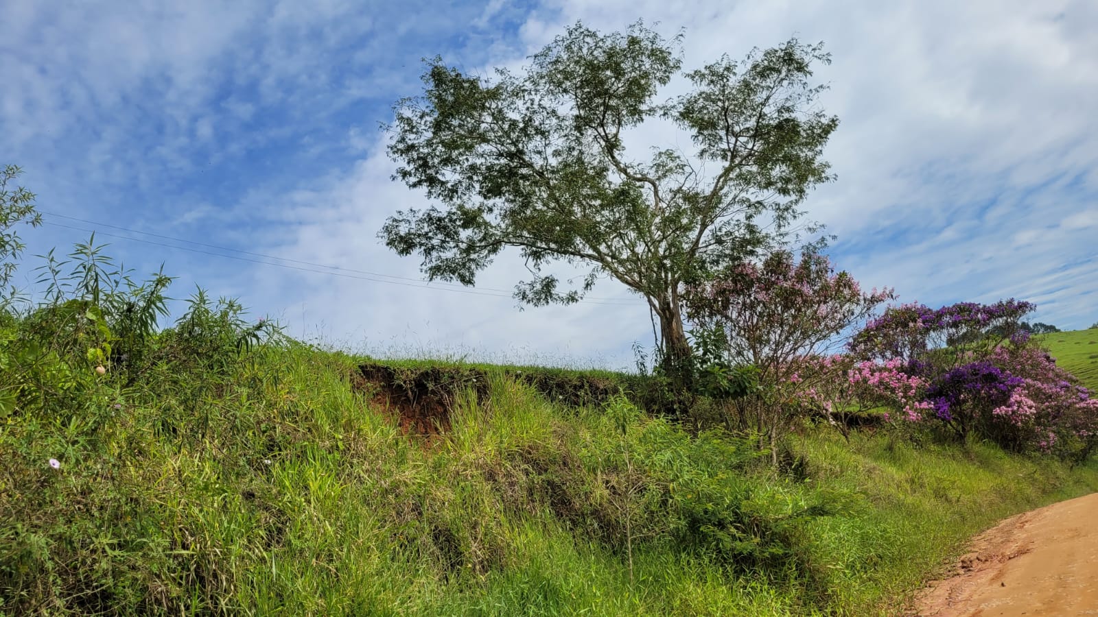 Imagem 2 - Sítio Paraibuna