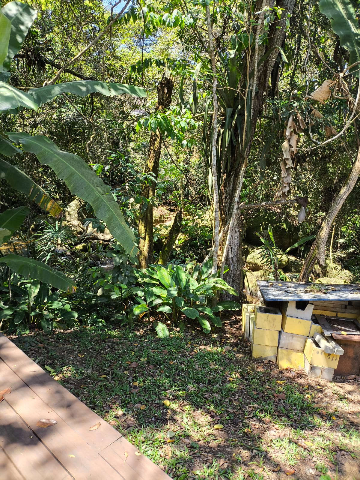 Imagem 11 - Locacao Anual Cocaia